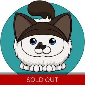 Custom medium sized cat